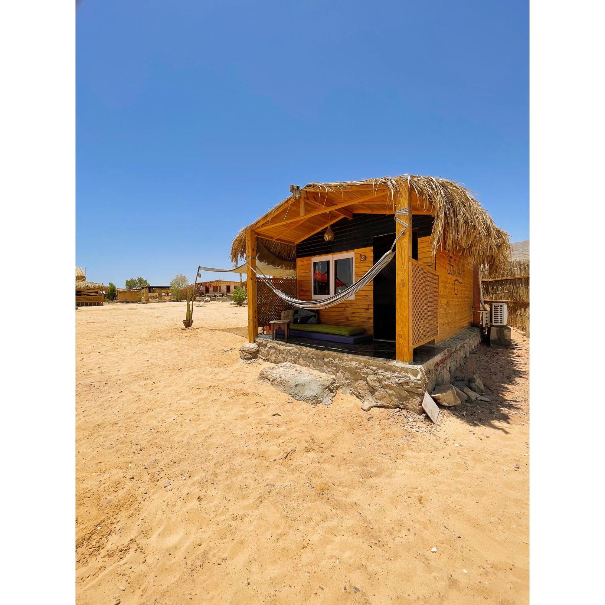 Live The Bedouinlife Campeggio